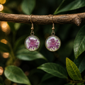 Wild Mulberry Drops